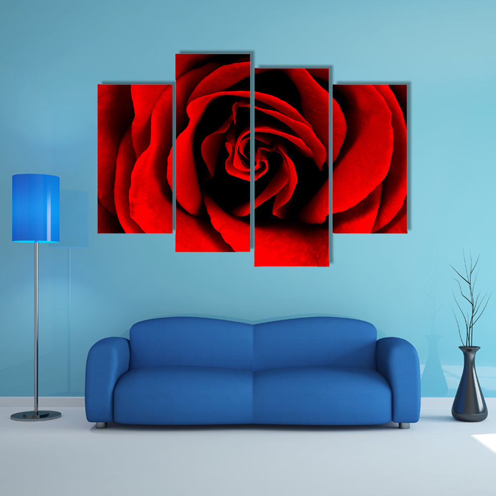 Closeup Of A Red Rose Canvas Wall Art