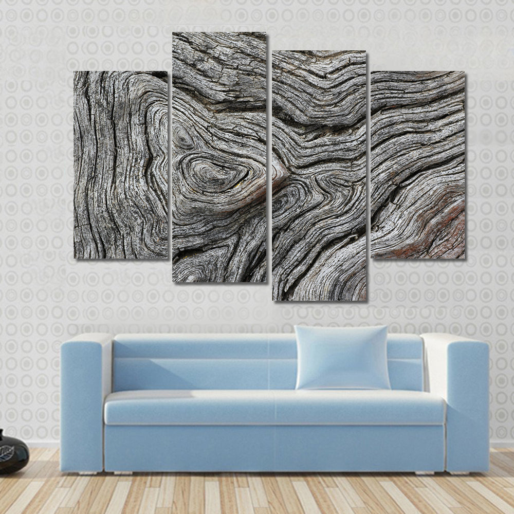 Weathered Wood Grain Macro Canvas Wall Art