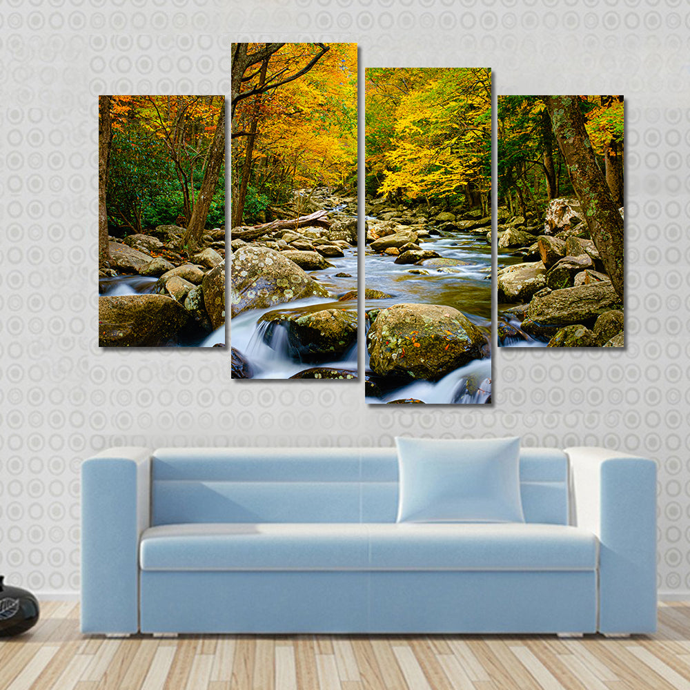 Rushing Stream in Great Smokey Mountains Canvas Wall Art