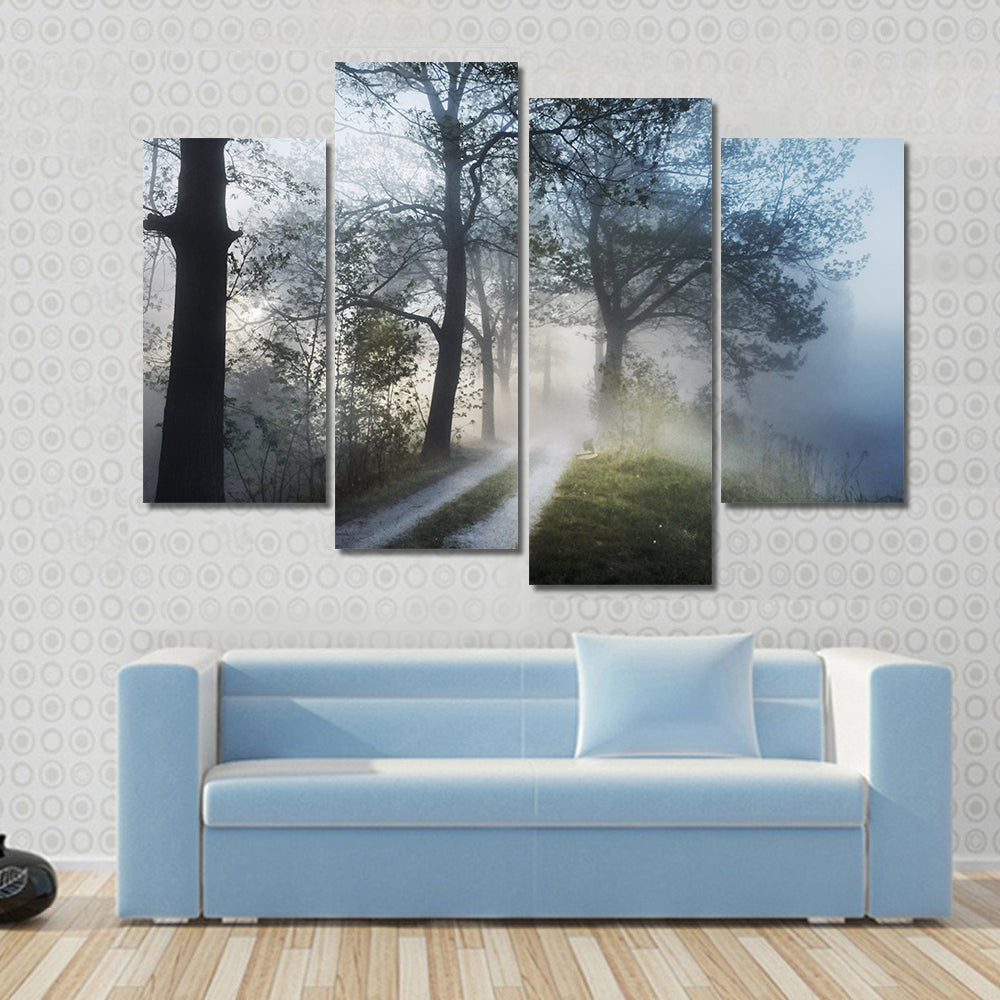 Foggy Forest Path at Sunrise Canvas Wall Art