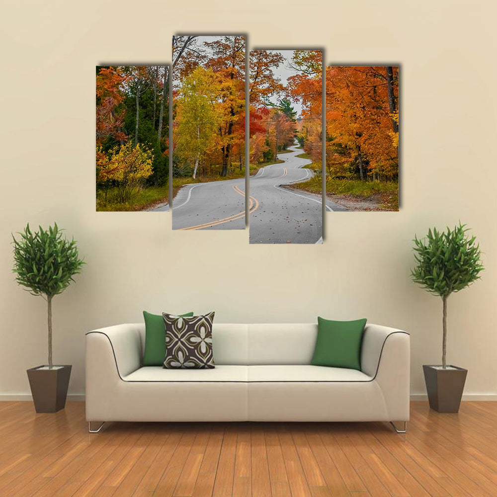 Winding Road In Wisconsin Canvas Wall Art