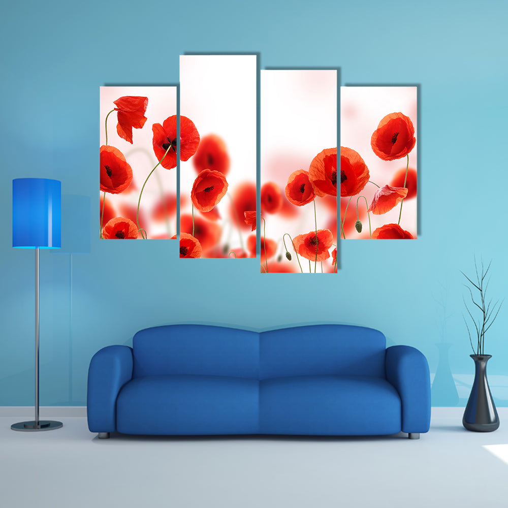 Poppy Flowers Field Canvas Wall Art
