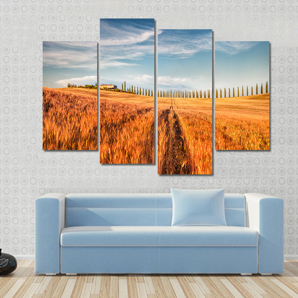 Wheat Field In Tuscany Canvas Wall Art