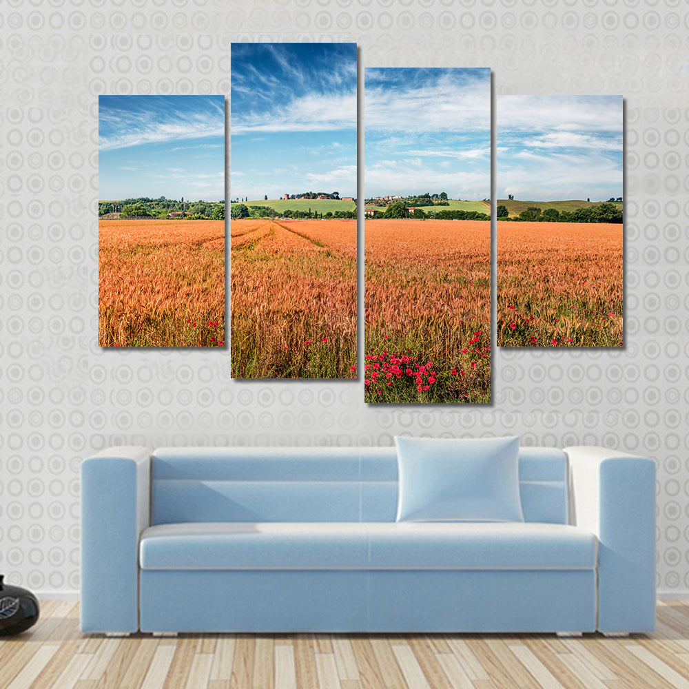 Wheat Field In Tuscany Canvas Wall Art