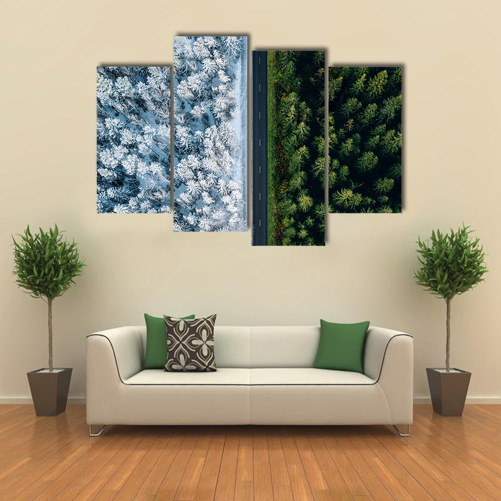Highway Road Through Forest In Summer And Winter Canvas Wall Art
