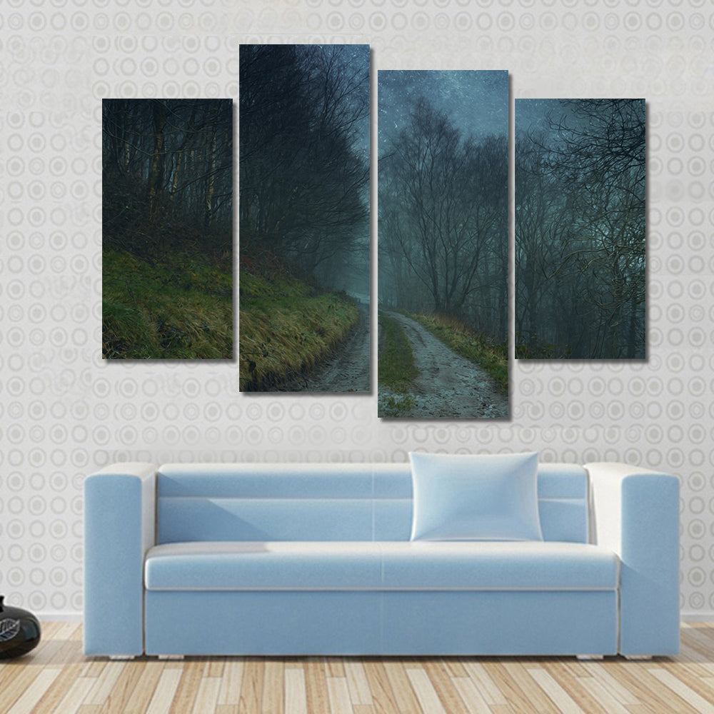 Foggy Forest Path Under Starry Sky Canvas Wall Art