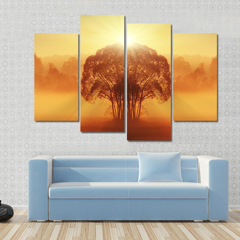 Lone Tree in Golden Morning Mist Canvas Wall Art