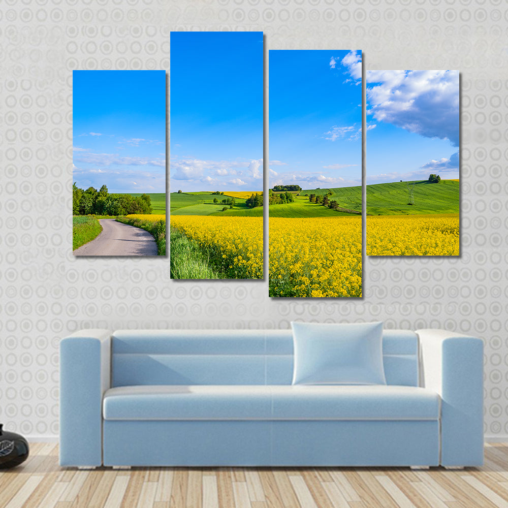 Oilseed field In Italian Countryside Canvas Wall Art