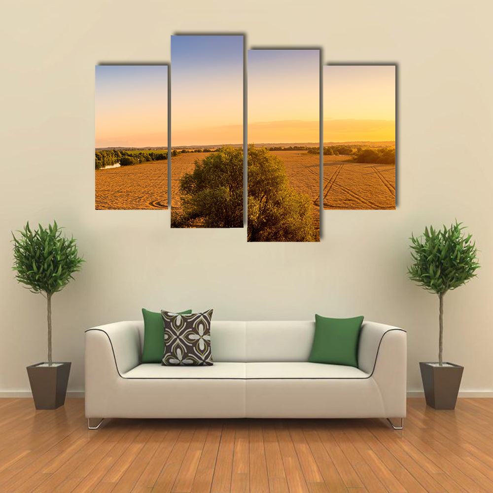 Sunset Over Golden Field with Curved Tracks Canvas Wall Art