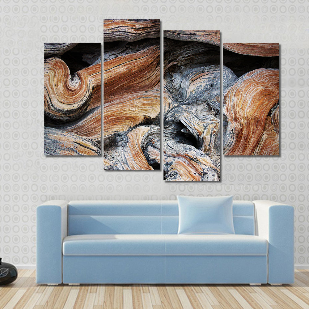 Old Juniper Wood Texture Canvas Wall Art