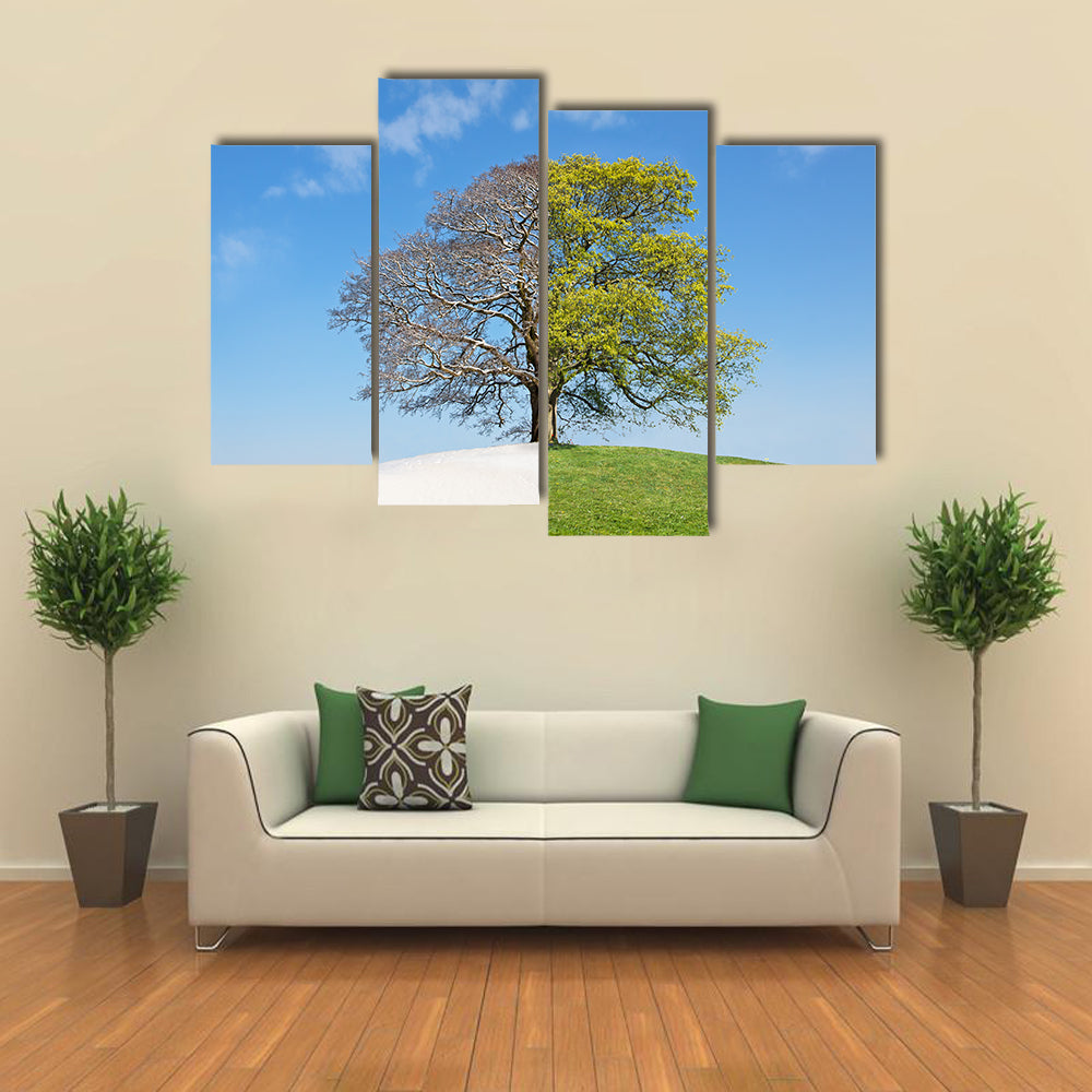 Tree Split Between Winter and Summer Canvas Wall Art