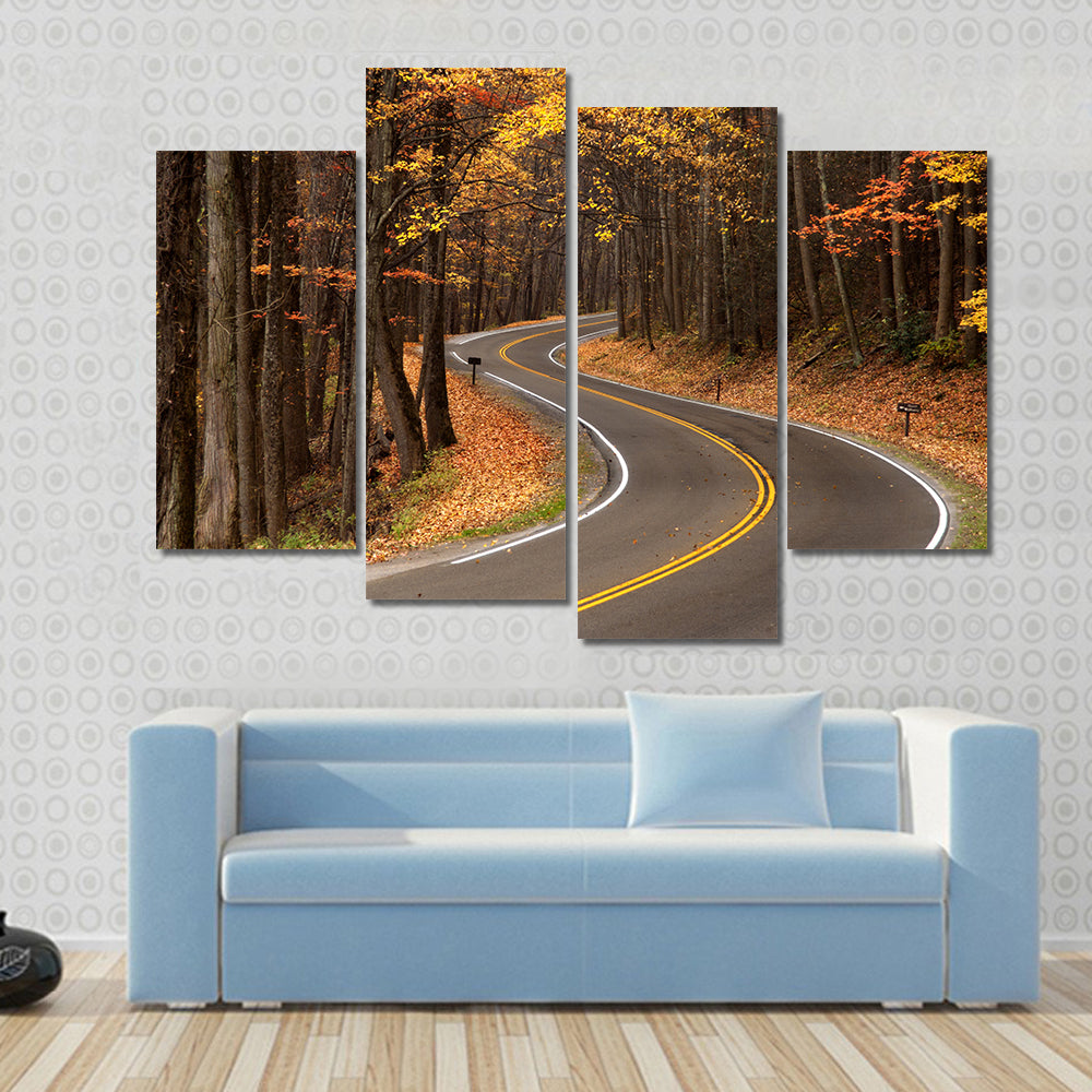 S-curve Road in Great Smokey Mountains Canvas Wall Art