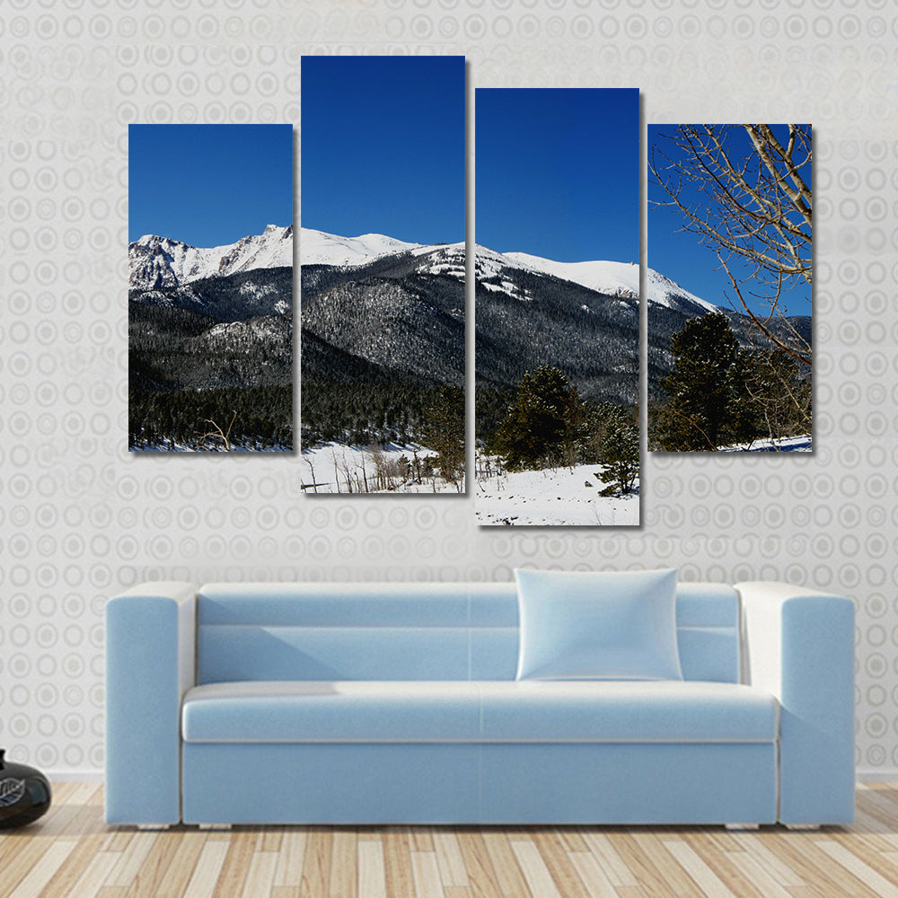Pikes Peak Winter Landscape Canvas Wall Art