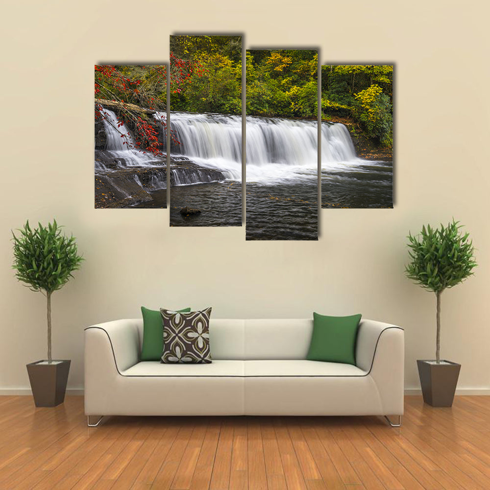 Dupont State Forest Waterfall Canvas Wall Art