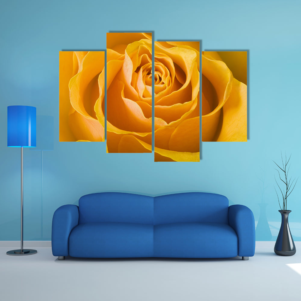 Close Up Of Rose Canvas Wall Art