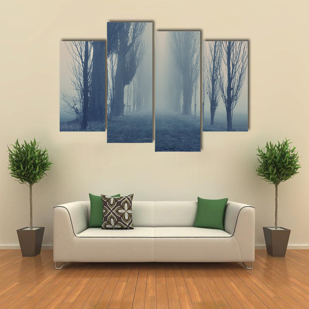 Autumn Fog in the Old Forest Canvas Wall Art
