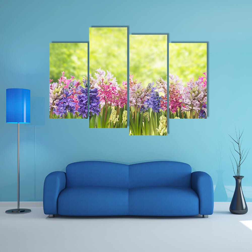 Blooming Spring Hyacinths Flowers Plant In Garden Canvas Wall Art