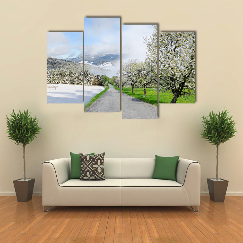 Road Between Winter and Spring Canvas Wall Art