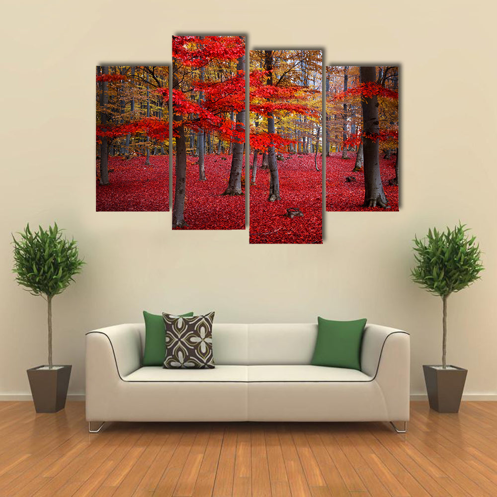 Red Trees In The Forest During Fall Canvas Wall Art