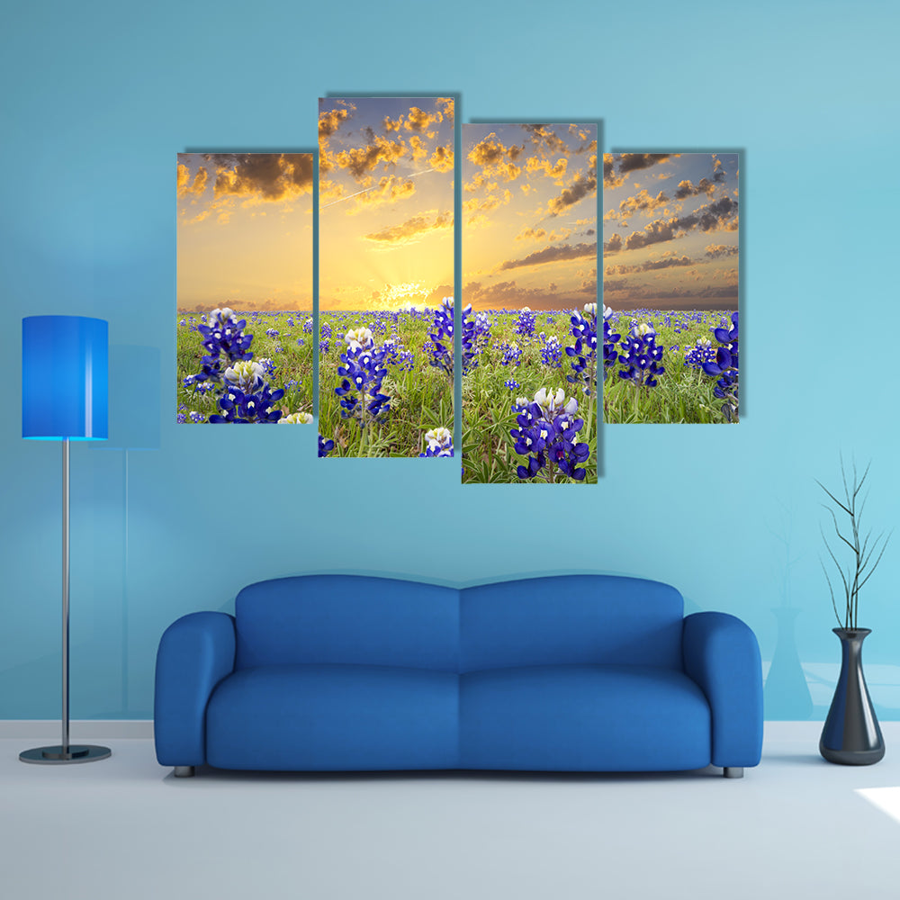 Bluebonnets In The Texas Hill County Canvas Wall Art