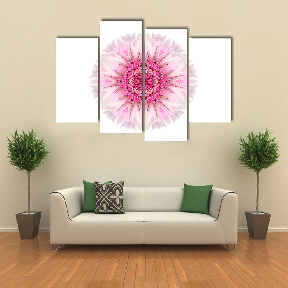 Pink Cornflower Mandala Canvas Wall Art