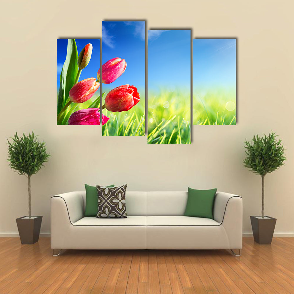 Sunny Spring Tulips in Meadow Canvas Wall Art