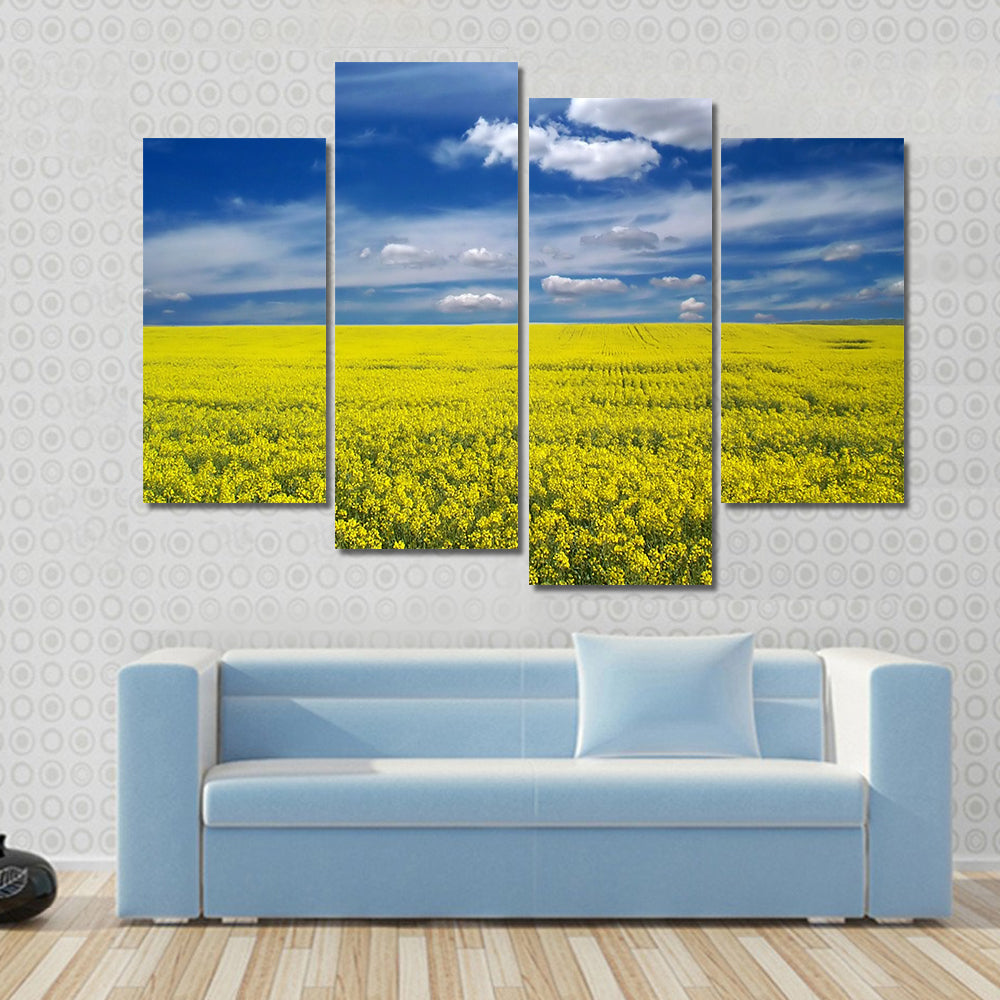 Golden Canola Field Canvas Wall Art