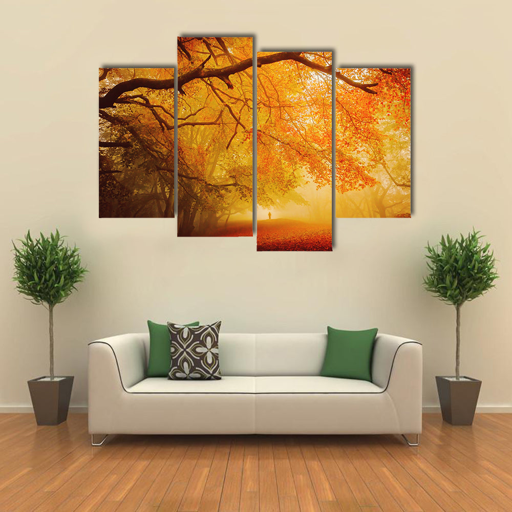 Seasonal Forest Fall Walk Canvas Wall Art