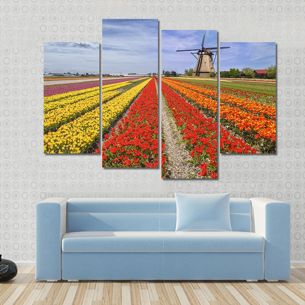 Colorful Dutch Tulip Fields with Windmill Canvas Wall Art