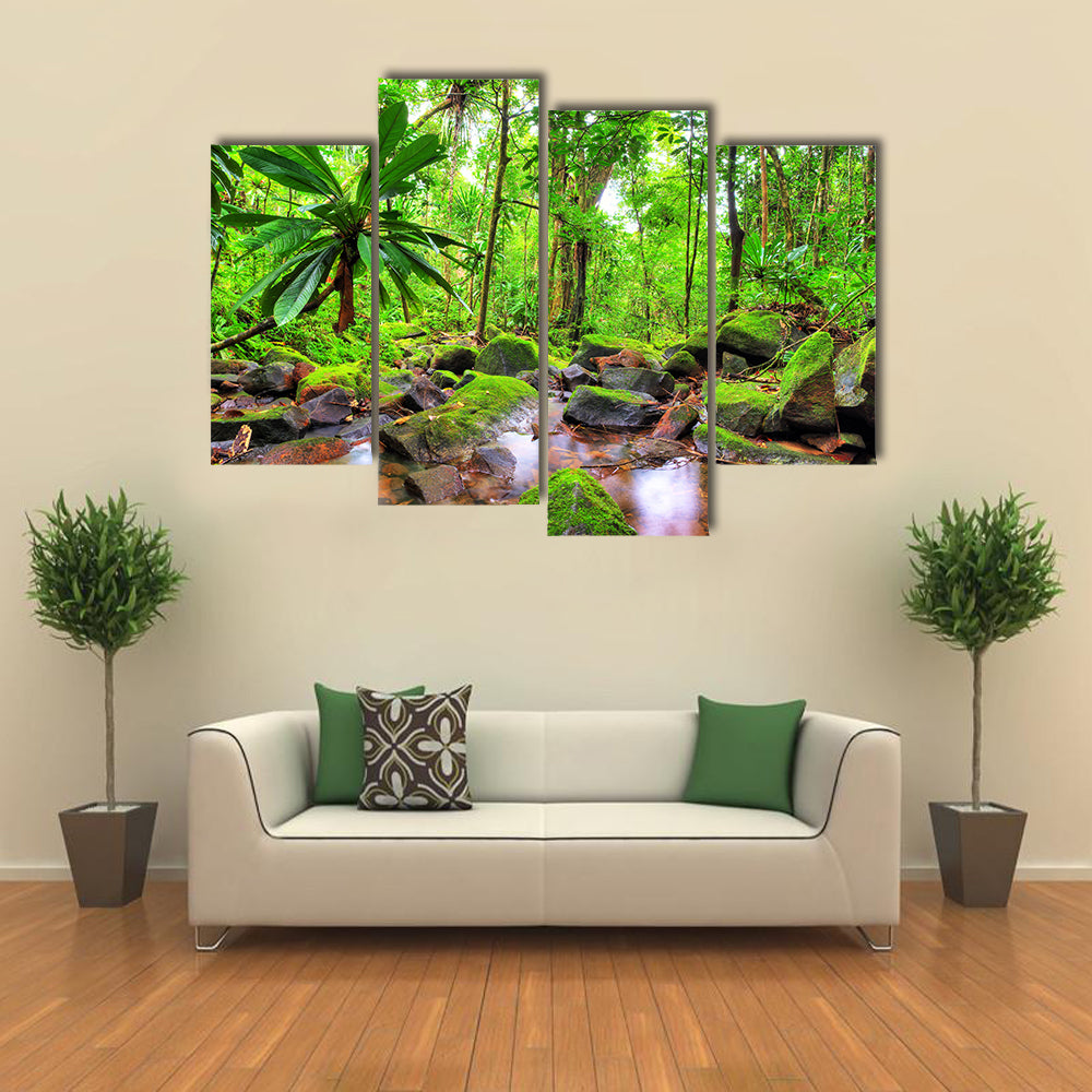Masoala National Park in Madagascar Canvas Wall Art