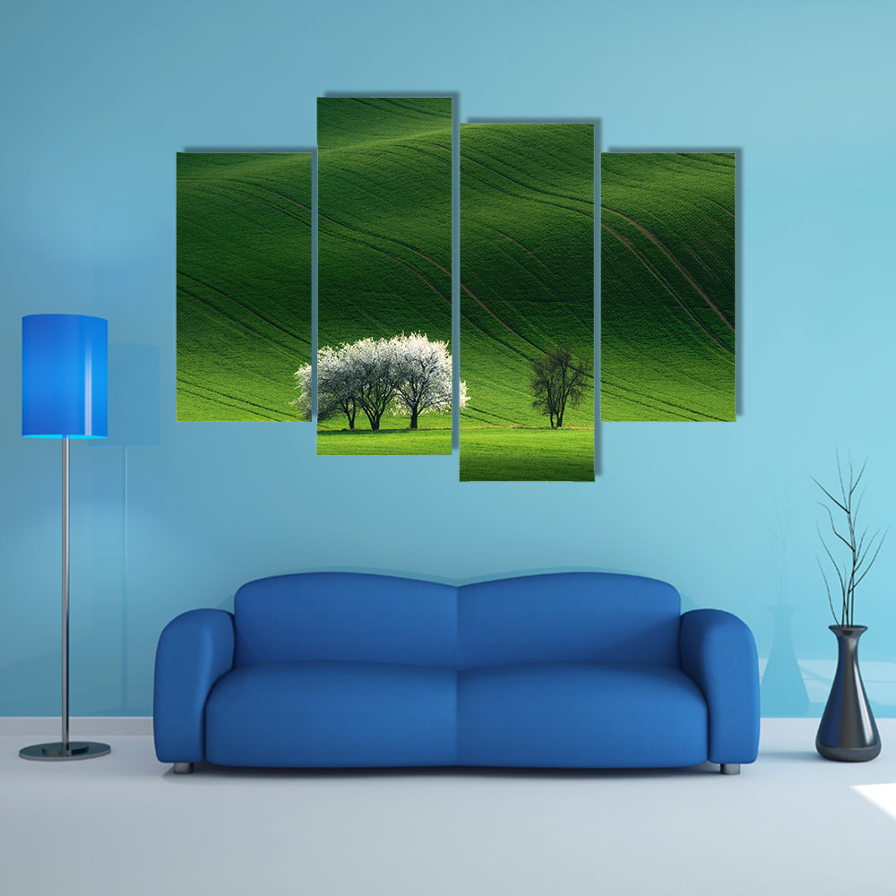 Moravian Green Rolling In Czech Republic Canvas Wall Art