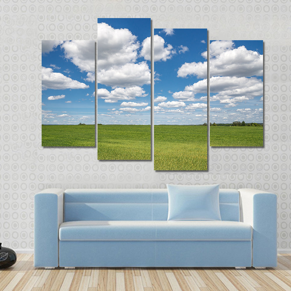 Blue Sky Over Green Field Canvas Wall Art