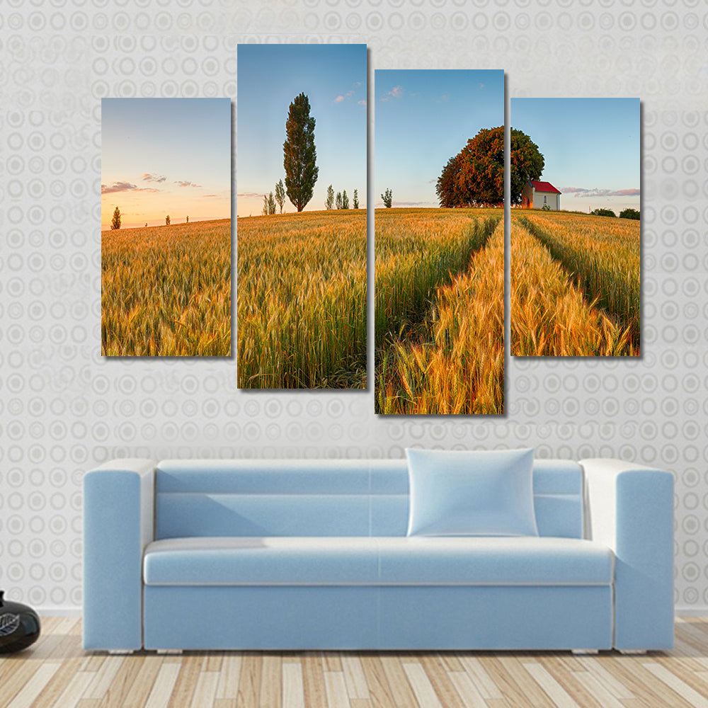 Summer Wheat Field at Golden Hour Canvas Wall Art