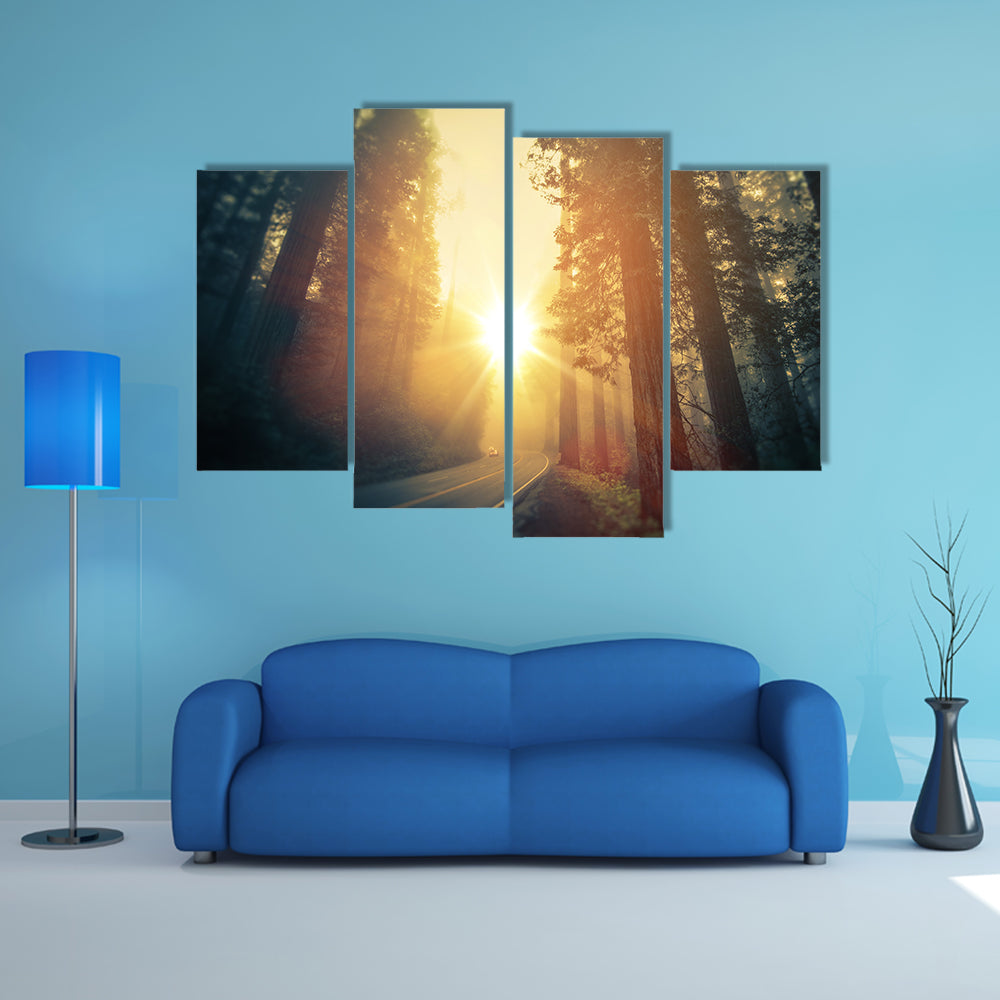 Foggy Redwood Forest Road Canvas Wall Art