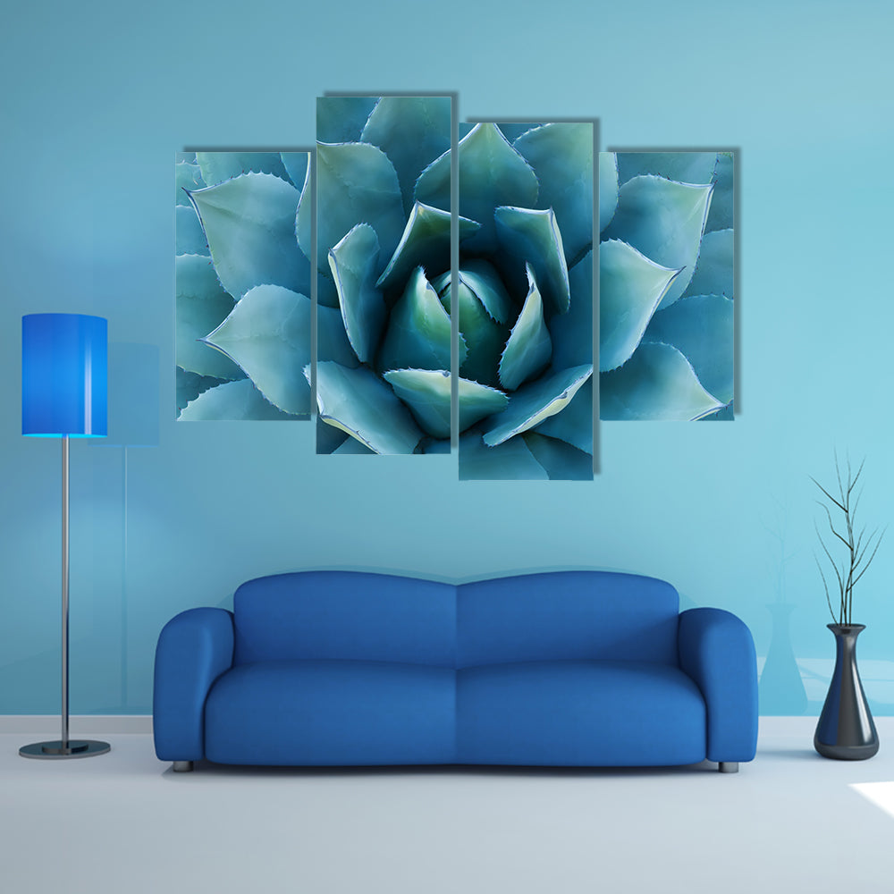Closeup Of An Agave Plant Canvas Wall Art