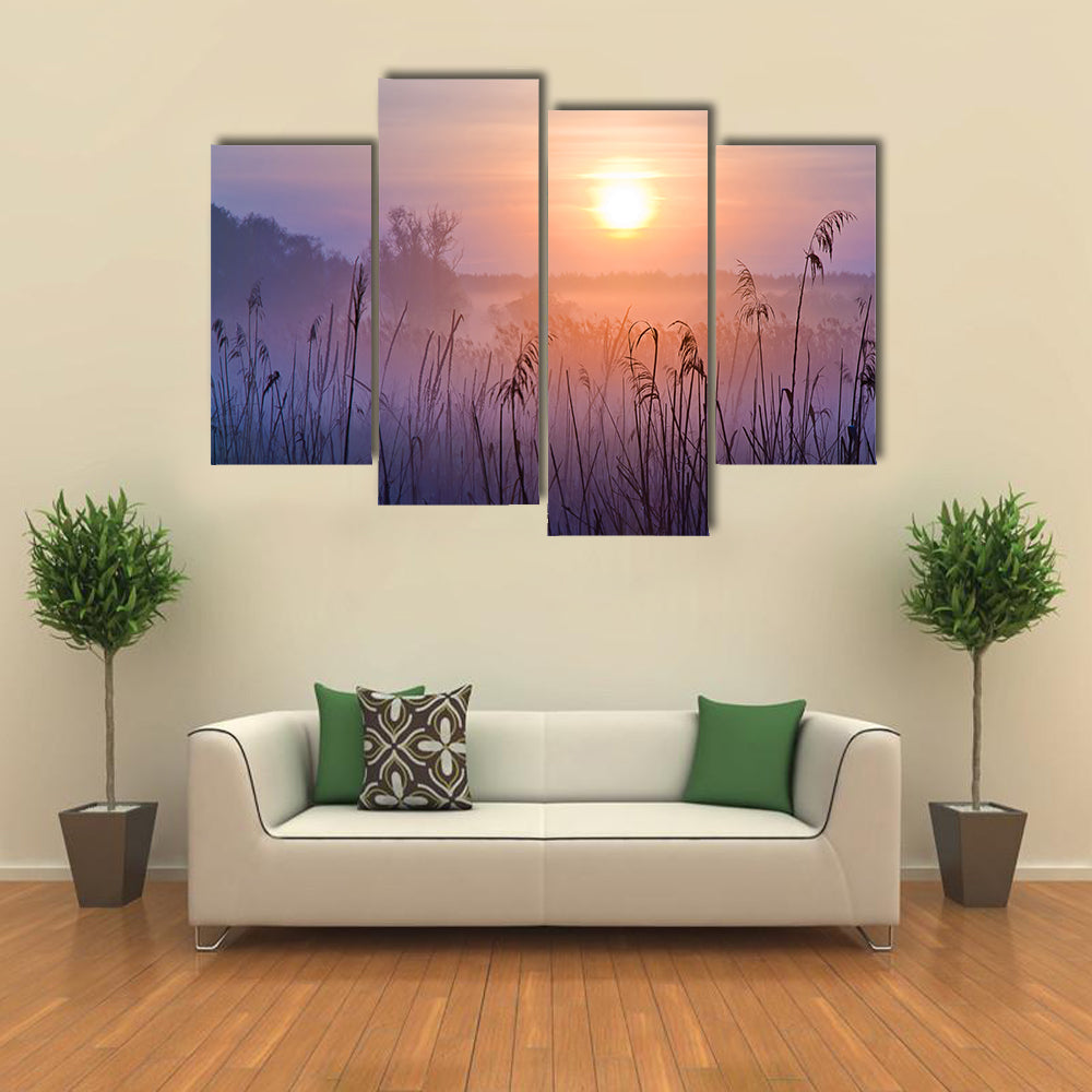 Shallow Depth Of Field At Sunset Canvas Wall Art