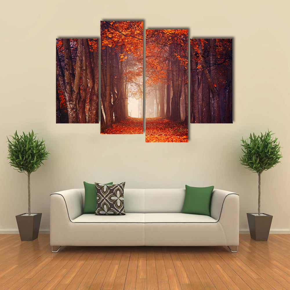 Autumn Misty Forest Canvas Wall Art
