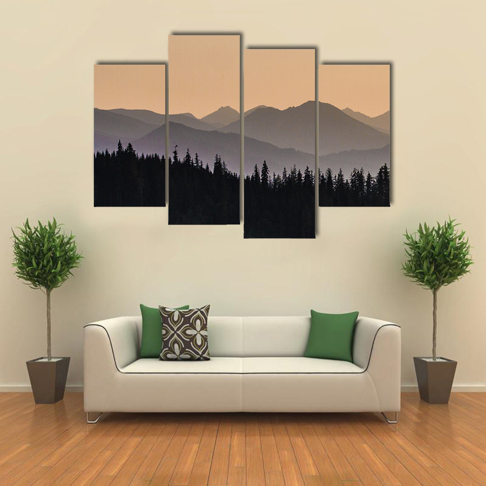Early Morning Mist On Forest Mountain Canvas Wall Art