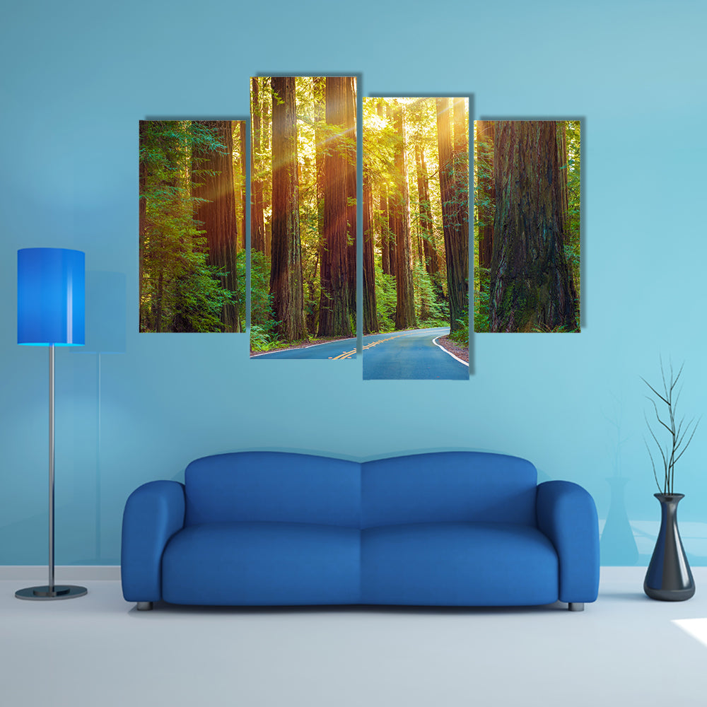 Redwood Highway In Northern California Canvas Wall Art
