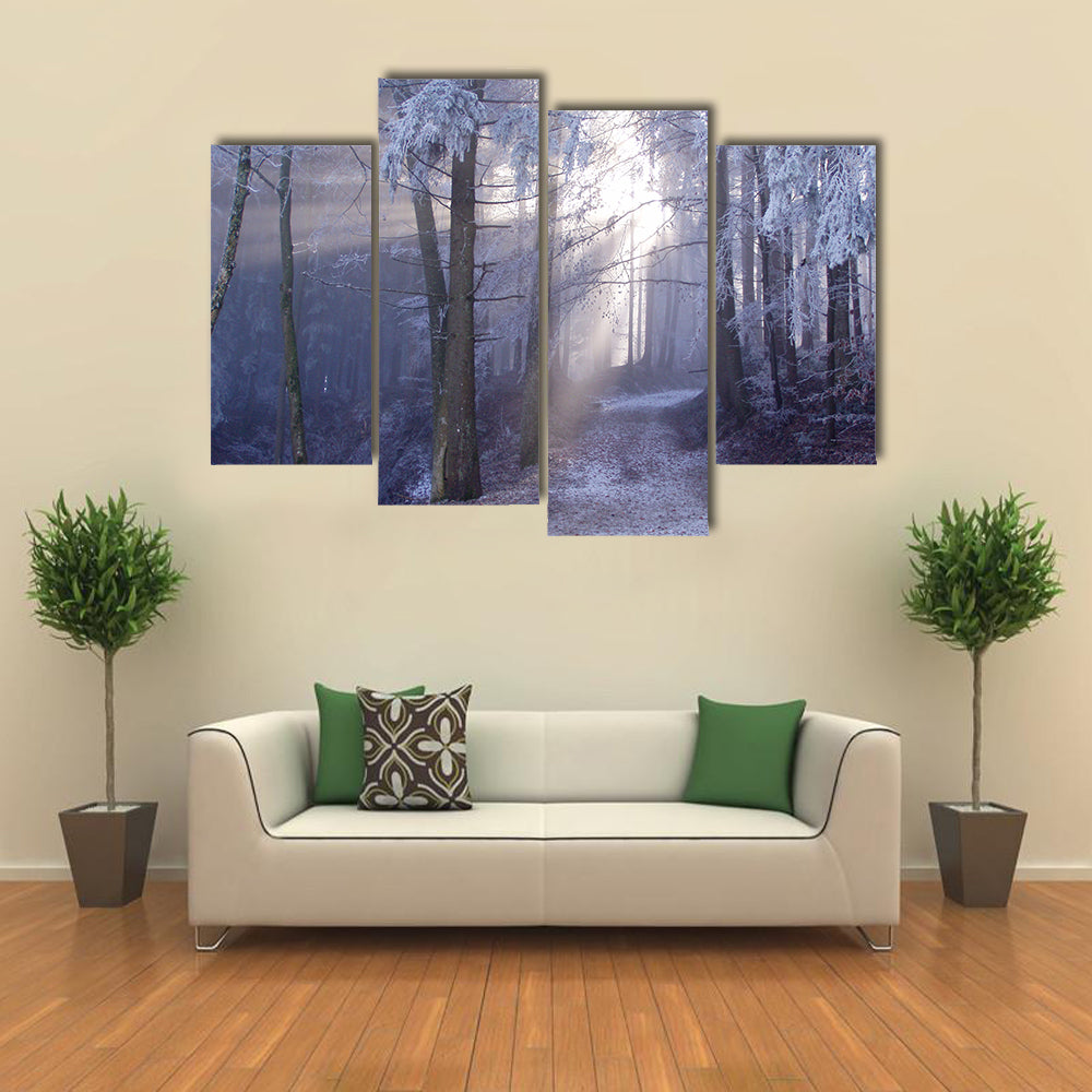 Mystic Forest Track Canvas Wall Art