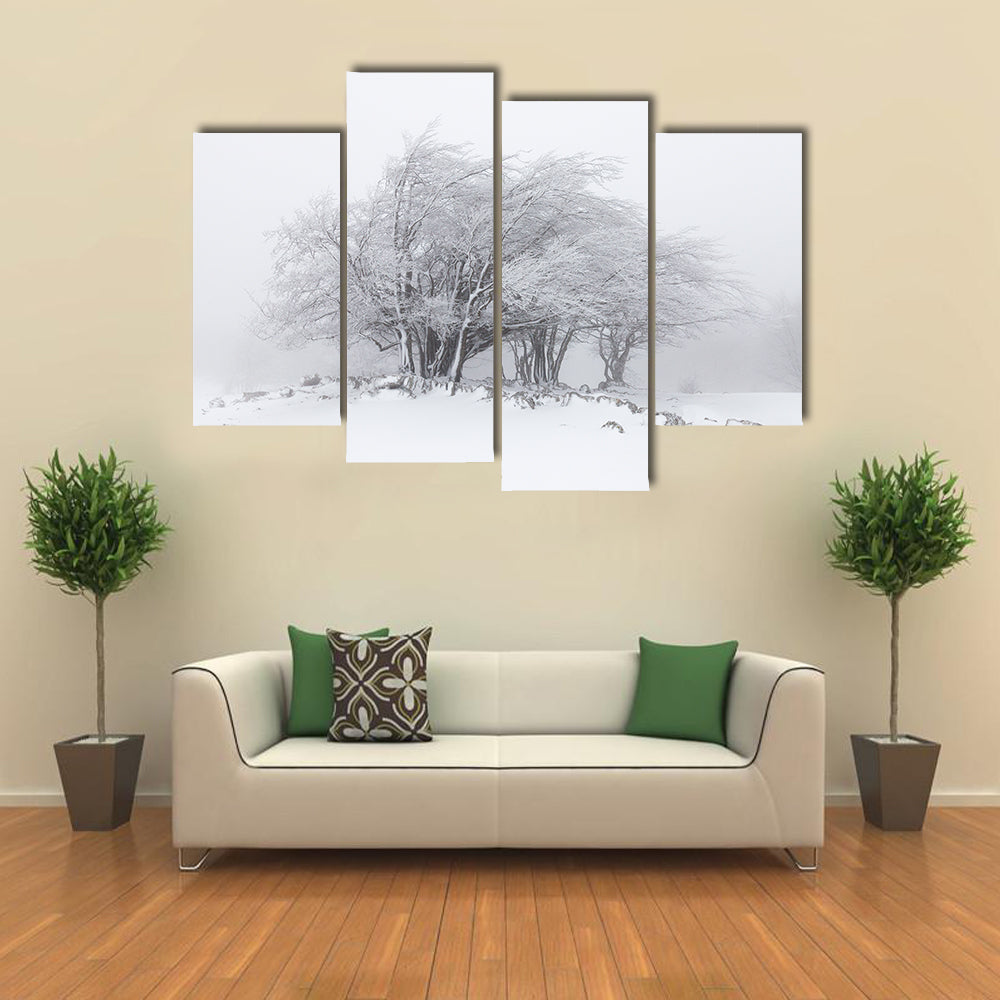 Foggy Winter Landscape In The Forest Canvas Wall Art