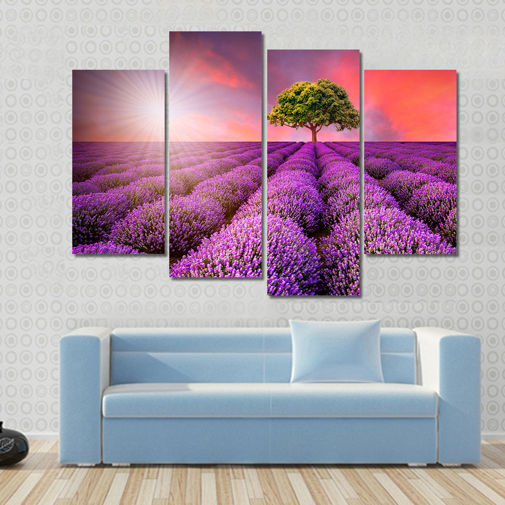 Lavender Field At Sunset Canvas Wall Art