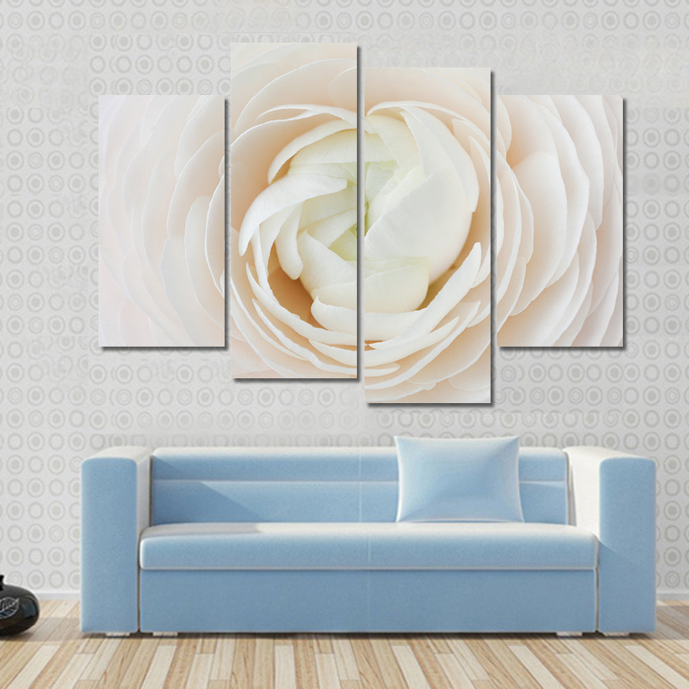 Closeup of Ranunculus Flower Canvas Wall Art