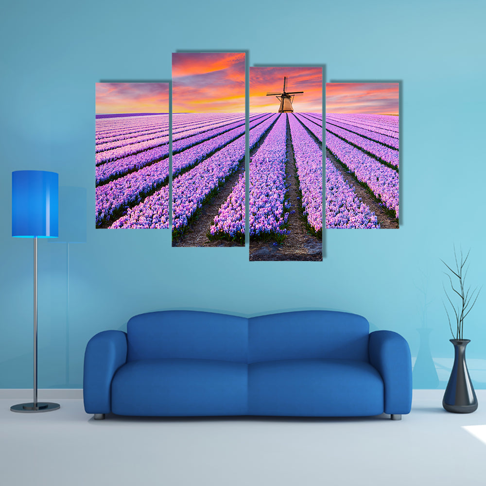 Spring Scene On The Flowers Farm In Netherlands Canvas Wall Art