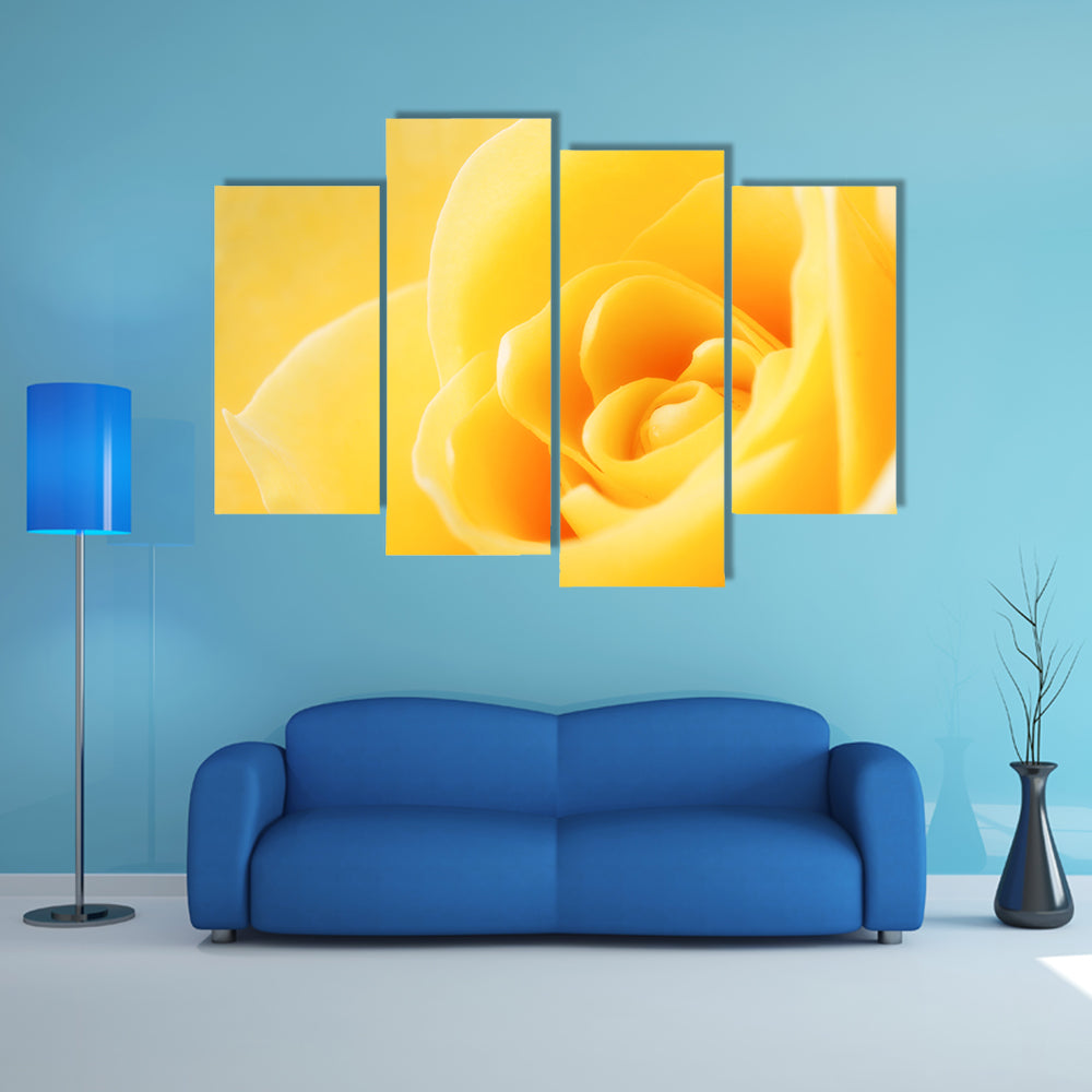 Yellow Rose Close-Up Canvas Wall Art