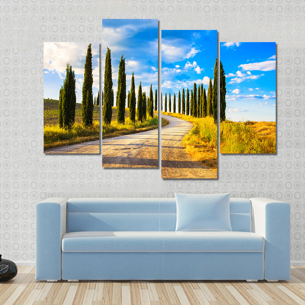 Tuscany Cypress Trees Along Winding Road Canvas Wall Art