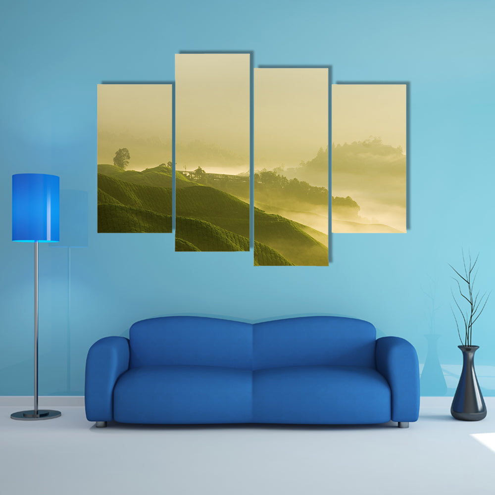 Tea Plantation At Cameron Highland Malaysia Canvas Wall Art