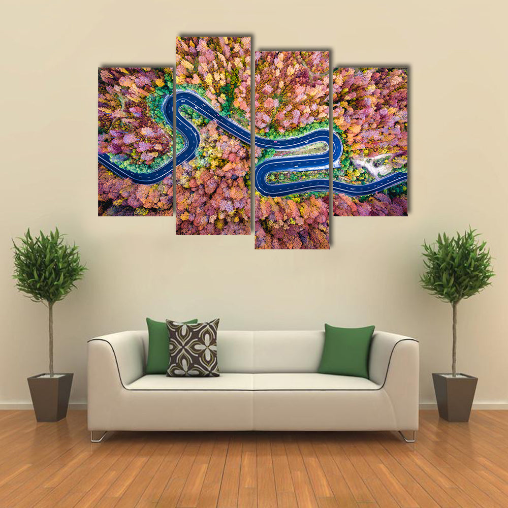 Curved Winding Road Through The Forest Canvas Wall Art