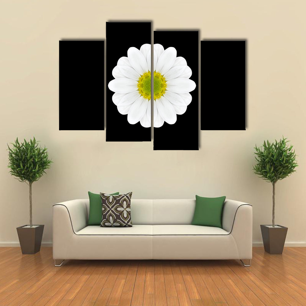 Close Up Of White Flower Mandala Canvas Wall Art