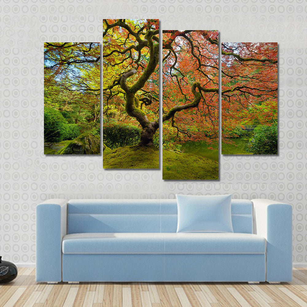 Gnarled Japanese Maple Tree in Portland Canvas Wall Art in red, orange and green, framed print, product view on a white background